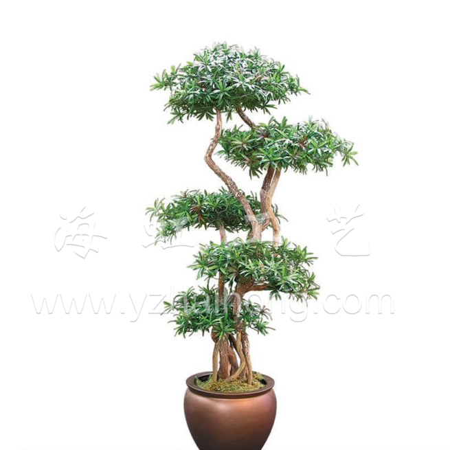 仿真羅漢松